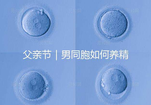 父親節(jié)|男同胞如何養(yǎng)精蓄銳,一發(fā)即中?