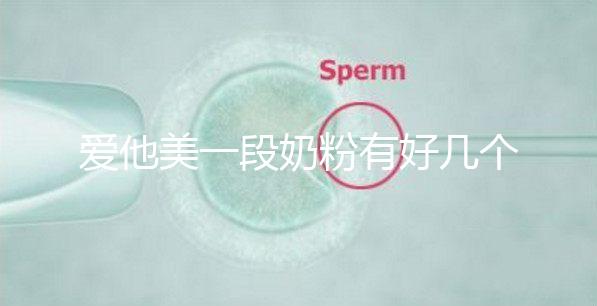 愛他美一段奶粉有好幾個版本，但真偽查詢方法都相似