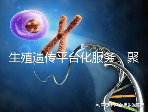生殖遺傳平臺(tái)化服務(wù),聚焦精準(zhǔn)化臨床應(yīng)用