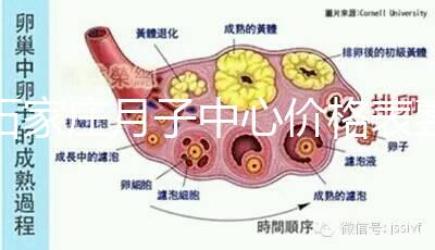石家莊月子中心價格表整理，長安最貴最好的一家原來是它