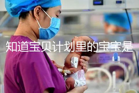 知道寶貝計劃里的寶寶是誰嗎?如今長大后越來越帥了