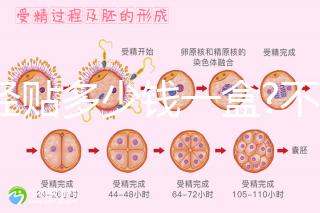 痛經(jīng)貼多少錢一盒?不同品牌痛經(jīng)貼價(jià)格盤點(diǎn)