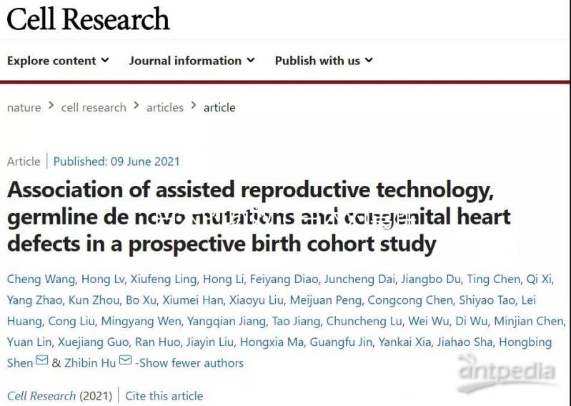 白術(shù)的功效（白術(shù)對(duì)男性性功能的效果）