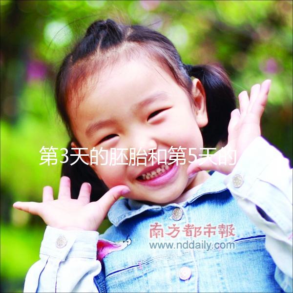 第3天的胚胎和第5天的囊胚，到底該怎么選成功率才高？