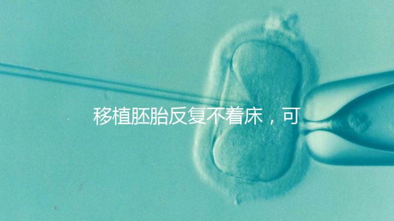 移植胚胎反復(fù)不著床,可能是這些原因造成的!