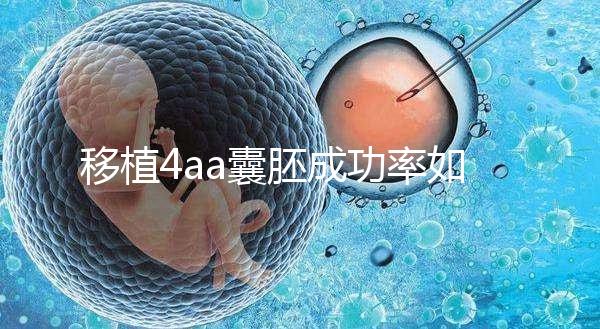 移植4aa囊胚成功率如何？細說質(zhì)量等級讓你助孕更安心