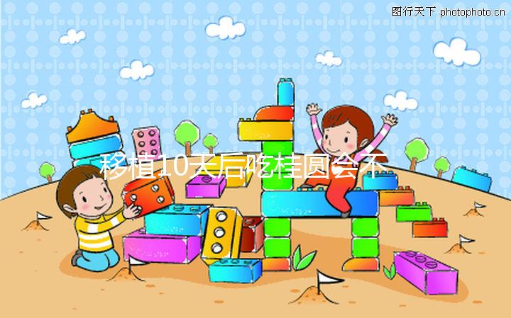 移植10天后吃桂圓會不會不著床分人，過量食用或有影響