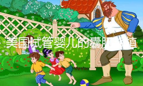 美國試管嬰兒的囊胚移植成功率