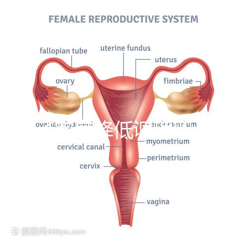 精子密度降低調(diào)理四步走,男性生育制勝法寶趕緊看看