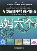 十個準媽媽六個都貧血，別讓貧血傷害你的“好孕”！