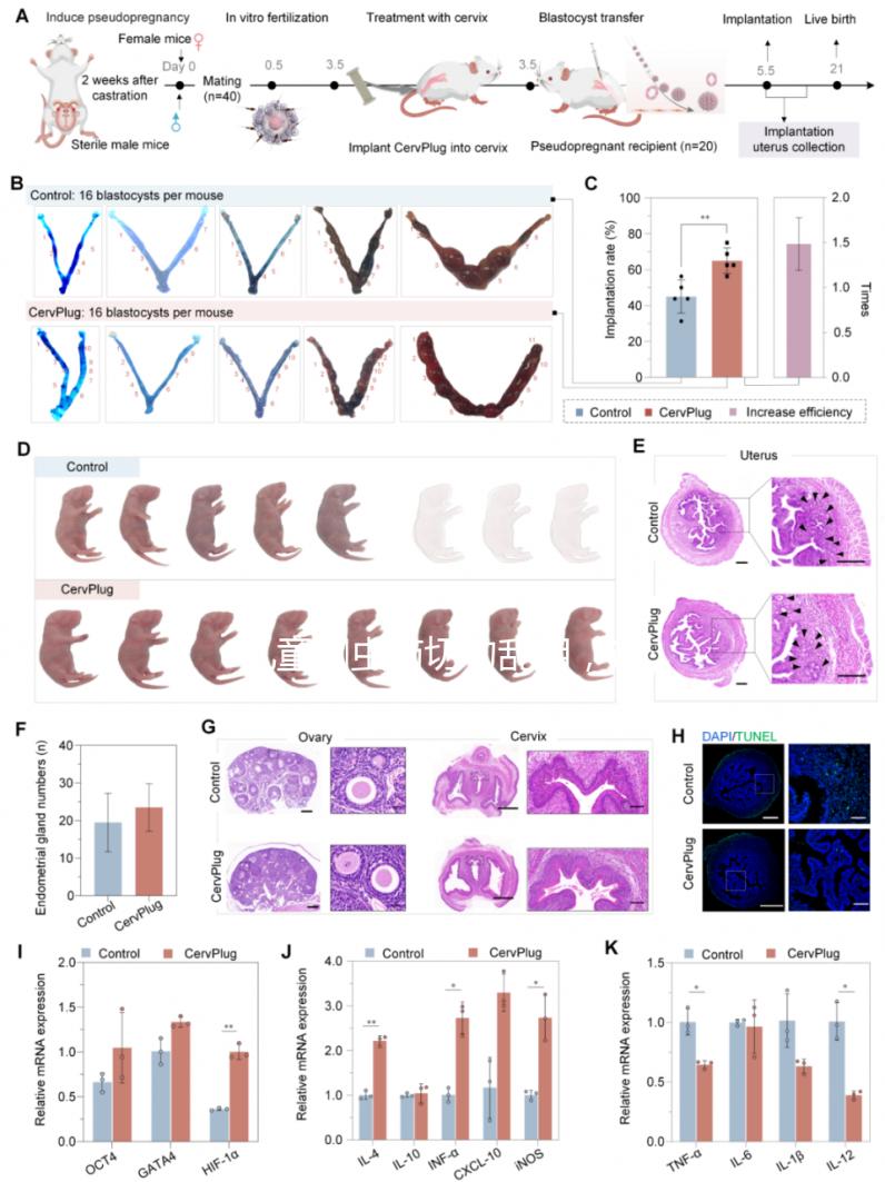 兒童蛔蟲(chóng)藥切勿亂用，這樣吃才是正確的打開(kāi)方式