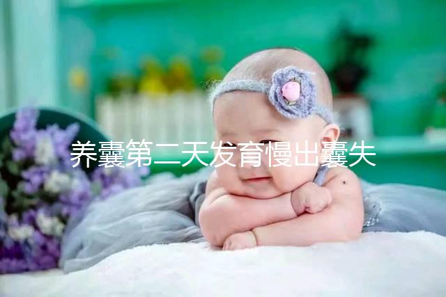 養(yǎng)囊第二天發(fā)育慢出囊失敗還有戲!前提:第三天繼續(xù)培育