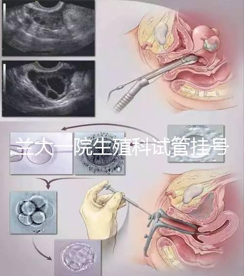 蘭大一院生殖科試管掛號多少錢別還不造,預約攻略來了