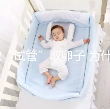 做“試管”取卵子 為什么10個(gè)卵泡只能取6個(gè)卵子？