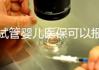 做試管嬰兒醫?？梢詧箐N多少比例（做試管嬰兒醫?？梢詧箐N多少比例的）
