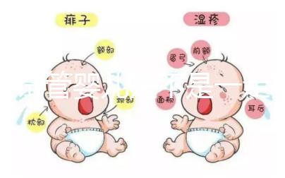 做試管嬰兒是不是一定要移植囊胚