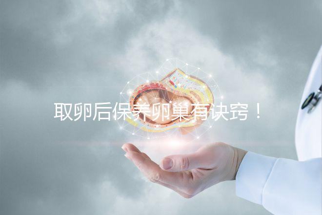 取卵后保養卵巢有訣竅！7種方法助你快速恢復