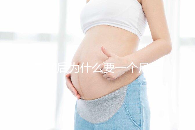 取卵后為什么要一個月后移植?深度解析與科學依據