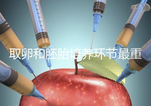 取卵和胚胎培養(yǎng)環(huán)節(jié)最重要？做試管嬰兒的你一定不知道！