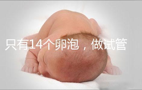 只有14個卵泡，做試管嬰兒到底要不要養(yǎng)囊？