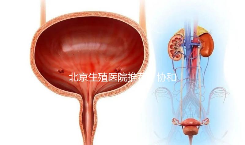 北京生殖醫(yī)院推薦！協(xié)和、北醫(yī)三院等三甲醫(yī)院介紹