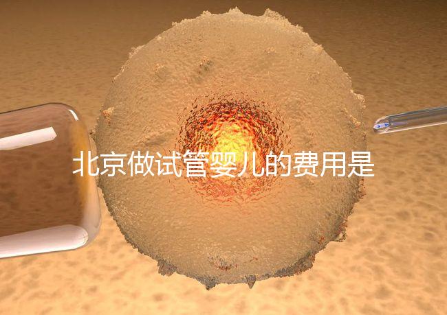 北京做試管嬰兒的費用是多少錢?詳細流程是怎樣的?