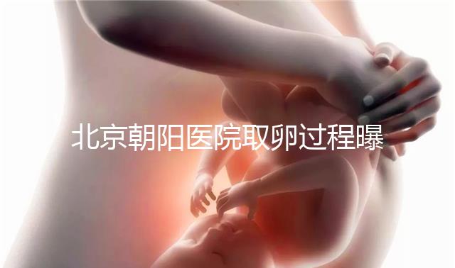 北京朝陽醫(yī)院取卵過程曝光,了解清楚可以避免胎停育