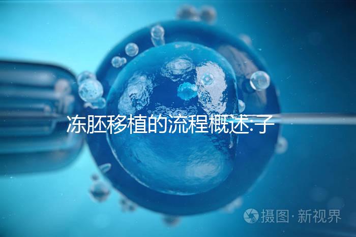 凍胚移植的流程概述:子宮內(nèi)膜及身體準(zhǔn)備非常重要