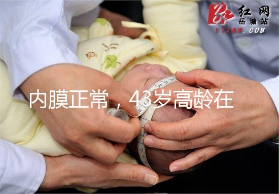 內膜正常,43歲高齡在國內做試管嬰兒成功率多少?