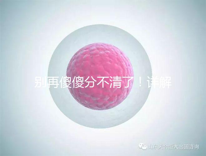 別再傻傻分不清了！詳解美國試管嬰兒和人工授精的區別