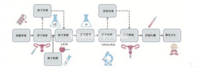 哈爾濱市紅十字中心醫院試管怎么樣?2024年助孕成功率數據共享
