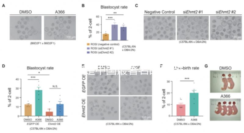哪家是中國最著名的不孕不育醫(yī)院，包括正規(guī)機構的排名