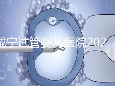 咸寧試管嬰兒醫(yī)院2024年成功率排名公開，哪家好一目了然