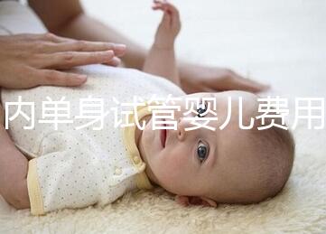 國(guó)內(nèi)單身試管嬰兒費(fèi)用大概要多少錢一次?附費(fèi)用明細(xì)!