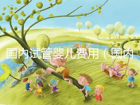 國(guó)內(nèi)試管嬰兒費(fèi)用(國(guó)內(nèi)試管嬰兒費(fèi)用多少)