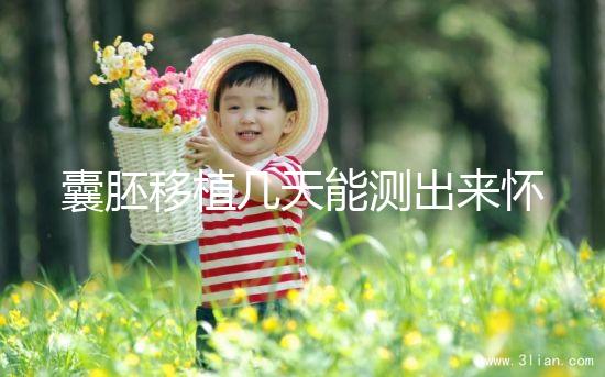 囊胚移植幾天能測(cè)出來(lái)懷孕？