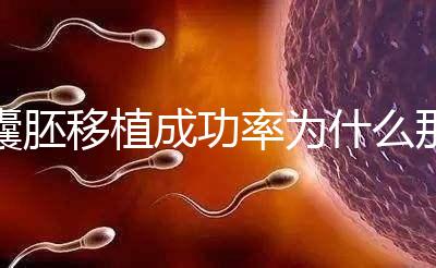 囊胚移植成功率為什么那么高？一期給你講明白！