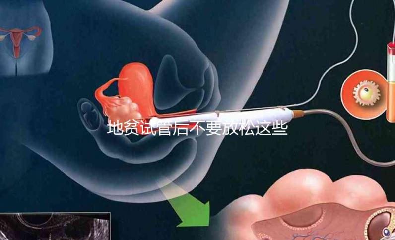 地貧試管后不要放松這些注意事項,不健康的飲食要小心,以前所有的工作都要放棄