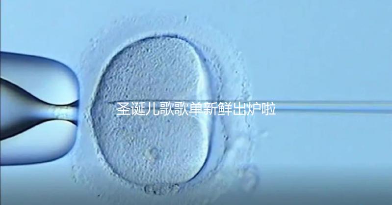 圣誕兒歌歌單新鮮出爐啦~