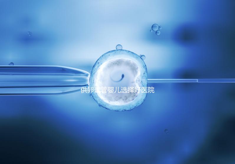 供卵試管嬰兒選擇好醫院是關鍵，泰國好的生殖中心有這些