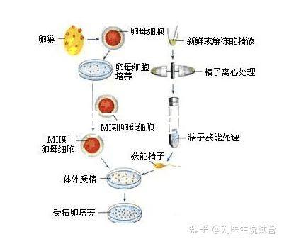 云南昆明三代試管助孕費(fèi)用貴不貴呢？三代試管懷孕費(fèi)用參考表！