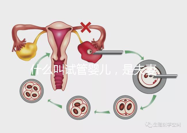 什么叫試管嬰兒，是夫妻親生的嗎？