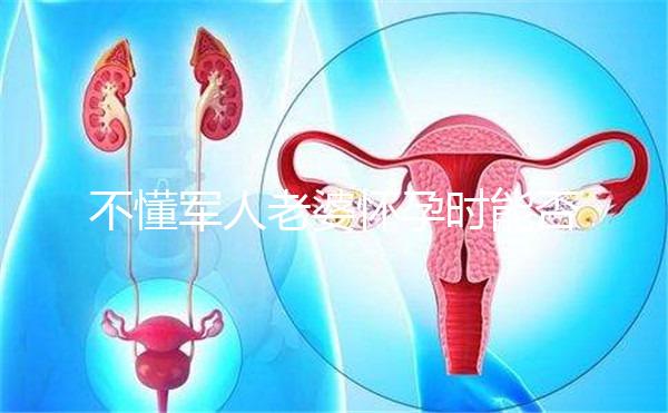 不懂軍人老婆懷孕時(shí)能否休陪護(hù)假快收藏，異地最高15天