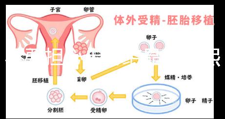 不要擔心十月結晶和曼熙哪個洗澡盆好，先知道怎么安裝