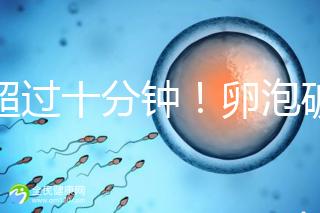 不超過十分鐘！卵泡破裂到輸卵管的時間，備孕必收藏