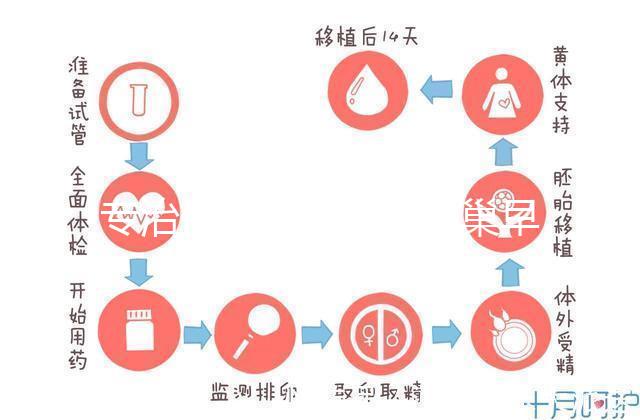 專治停經、絕經、卵巢早衰?利維愛的作用與適應癥分析