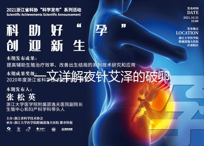 一文詳解夜針艾澤的破卵成功率，60s弄清跟絨促誰更高