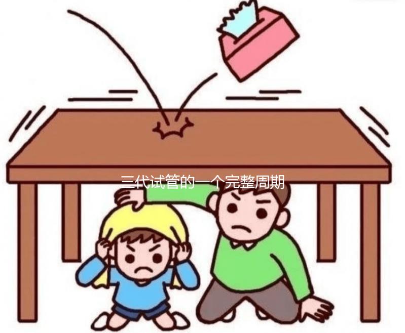 三代試管的一個完整周期包含哪些內容？