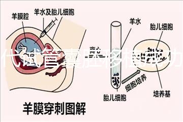 三代試管囊胚移植成功率解析及關(guān)鍵因素