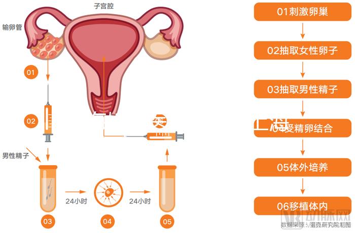 上海婦科醫(yī)院排名(上海婦科醫(yī)院排名第一)